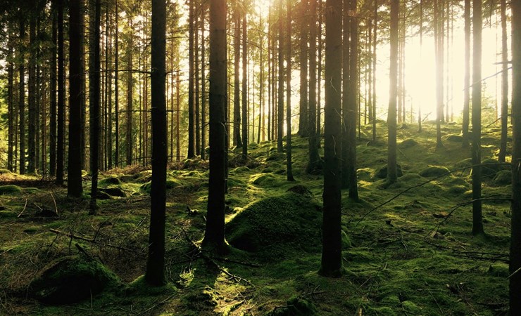 Fattige børn i DK & EU