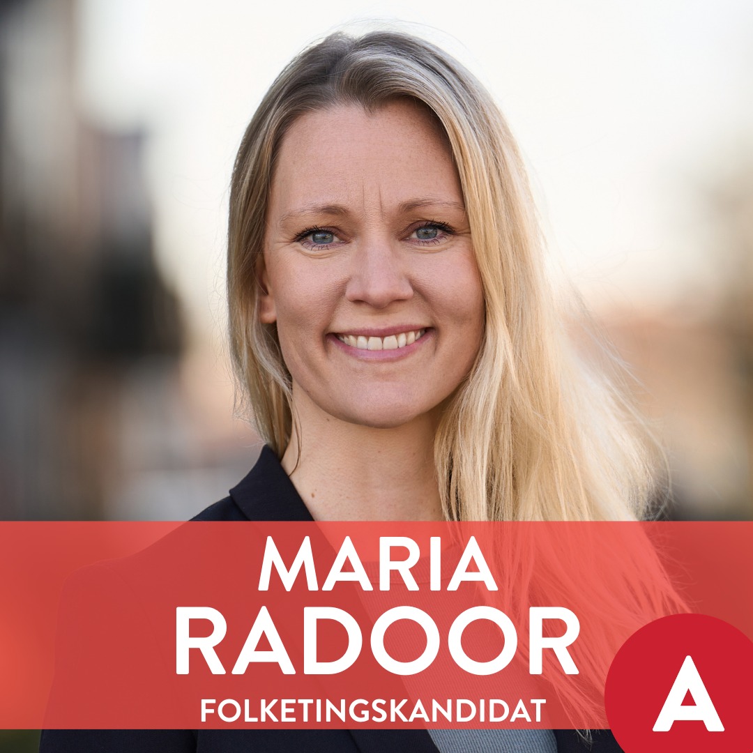 Danmark er stærkest, når vi står sammen